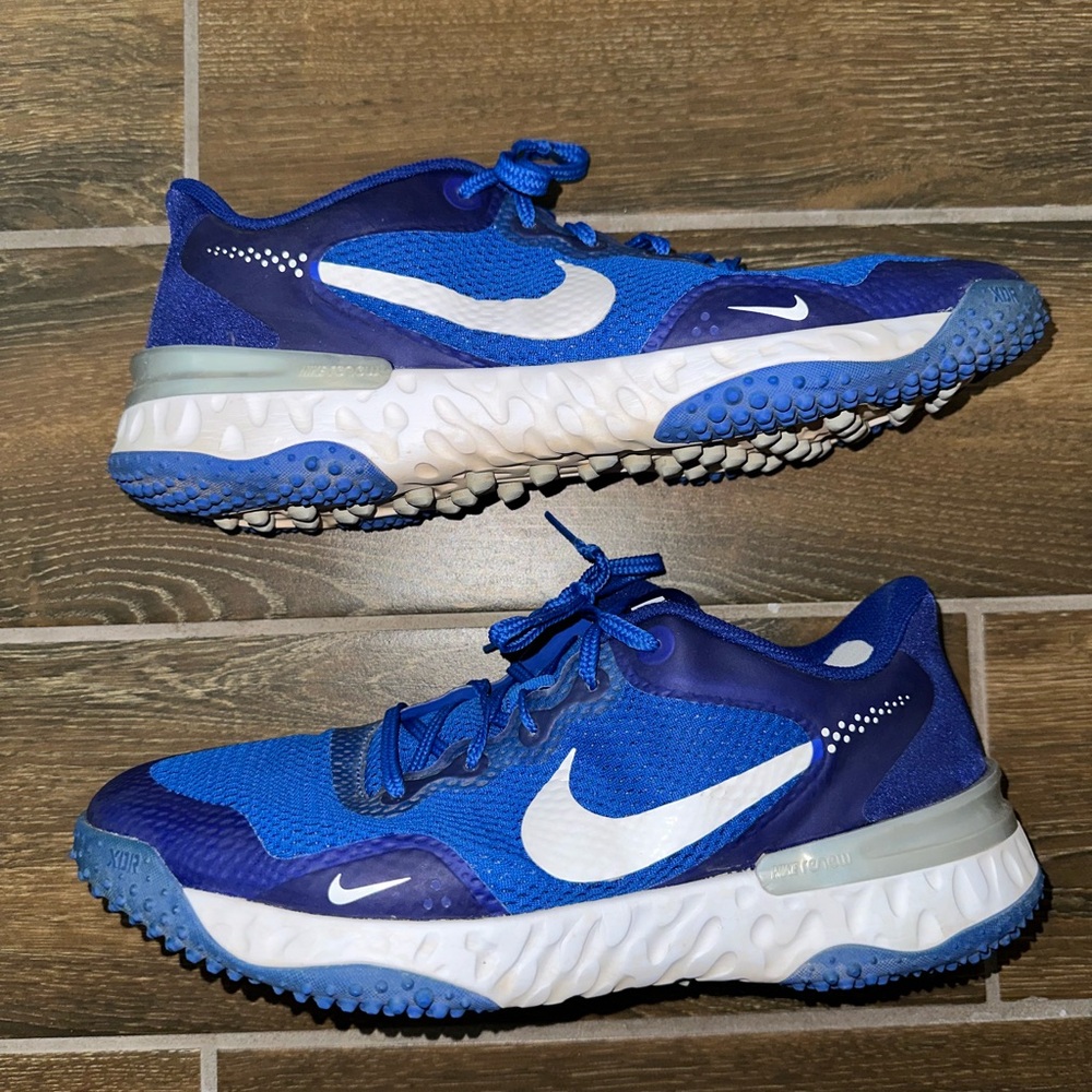 Nike dragon alpha sneakers